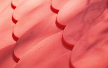 Buckhorn Weston plastic roof costs