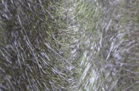 Buckhorn Weston fibreglass roof work