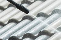 rated Buckhorn Weston roof cleaning companies