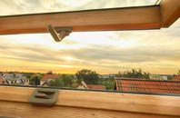rated Buckhorn Weston roof window companies