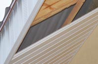 rated Buckhorn Weston soffit repair companies
